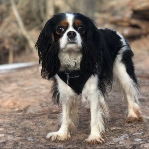 Meet your Posher, Kirsten